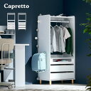 [割引クーポン配布中] ベビー服収納 Capretto(カプレット) 2タイプ対応 ベビー服ハンガー キッズハンガー ハンガーラック 引出し ショーケース たんす 衣類収納 小物収納 ペット用品収納 洋服掛け 子供用 キッズルーム 子供部屋インテリア かわいい 1