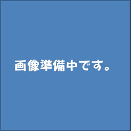 スリーラスター KA000-00119 標準タイプシルバー (TB6154E) 480ml 下回り防錆 NISSAN(日産) PITWORK(ピットワーク)