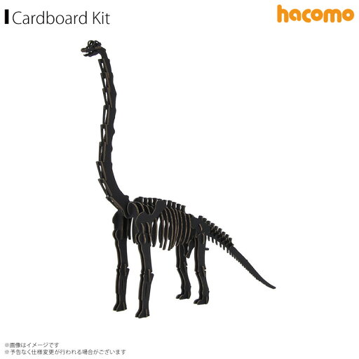 ペーパークラフト 工作キット ダンボール 段ボール 【4935】ブラキオサウルス Dinosaur 恐竜 ダイナソー 骨格 標本 立体パズル クラフト 簡単組立 ブラックhacomo ペーパークラフト 工作キット ダンボール 段ボール 【4935】ブラキオサウルス Dinosaur 恐竜 ダイナソー 骨格 標本 立体パズル クラフト 簡単組立 ブラックhacomo