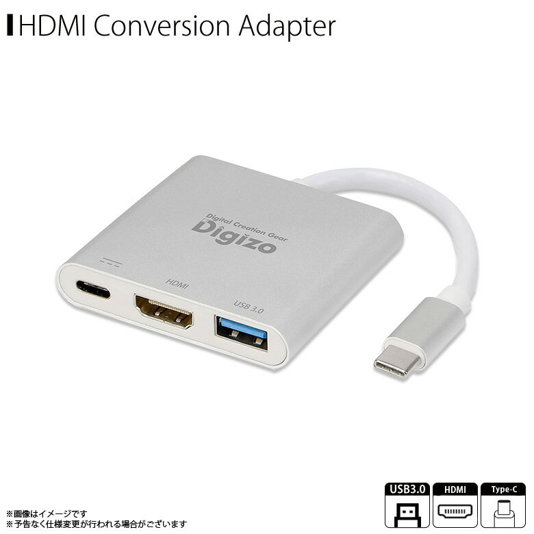 Type-C タイプシー DMI変換アダプター USBポート PUD-PDC1H PD60W 対応 PowerDelivery パワーデリバリーポート Windows Mac Nintendo Switchプリンストン
