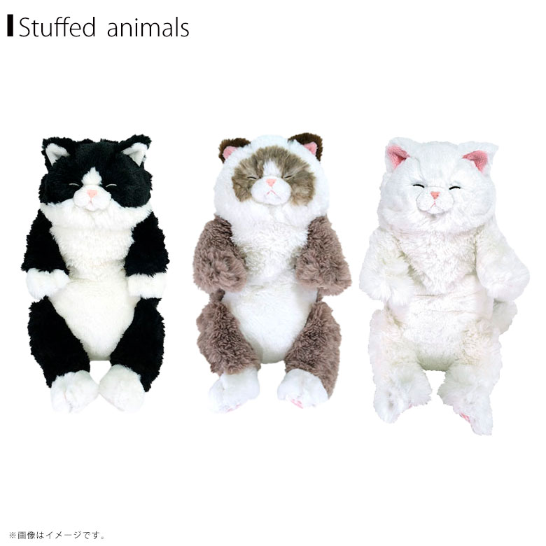 Rakuten - 【送料無料】ぬいぐるみ ひざねこ すやすや【全3種】 ラグドール GYBR ペルシャ WH ハチワレ ひざシリーズ 猫 ネコ 柔らかな素材 手触り抜群 癒し かわいいサンレモン【正規品】