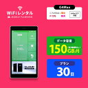 WiFi レンタル 30日 短期 docomo ポケッ