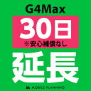 【レンタル】 G4Max_30日延長専用 wifi