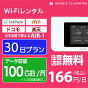 WiFi レンタル 30日 短期 docomo ポケットWiFi 100GB wifiレンタル レン