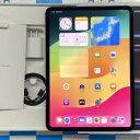 【新品・未使用】iPad Pro 11インチ 第5世代 256GB SoftBank版SIMフリー バッ