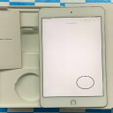 【中古】当日発送可 iPad mini 第5世代 256GB AU版SIMフリー バッテリー87% 訳アリ品