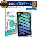\母の日★最大1000円クーポン配布中!/ 【楽天1位】 iPad 保護フィルム iPad Air M3 2025 11インチ 13インチ ipad 第11世代...