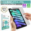 \母の日★最大1000円クーポン配布中!/ 【楽天1位】 iPad ガラスフィルム アンチグレア 反射防止 さらさら iPad Air M3 2025 11イン...