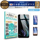 \母の日★最大1000円クーポン配布中!/ Rakuten BIG s mini ガラスフィルム 保護フィルム | Rakuten BIGs BIG Rakut...