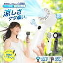 \母の日★最大1000円クーポン配布中!/ ハンディファン 冷却プレート 爆風 強風 扇風機 ハンディ 小型 冷却 充電式 卓上 小型扇風機 風量4段階 ペルチ...