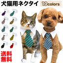 【期間限定10％OFFクーポン対象商品】犬 猫 用 ネクタイ 2サイズ展開 小型 中型 猫 ねこ 子犬 小型犬 首輪 子猫 服 かわいい おしゃれ アクセサリー チェック ボーダー タイ 送料無料