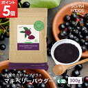 有機マキベリーパウダー 100g スーパーフルーツ 健康 ダイエット LibertyFoods(リバティフード)