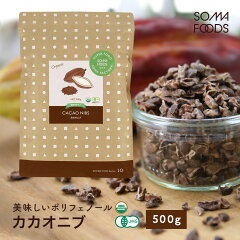 https://thumbnail.image.rakuten.co.jp/@0_mall/mobilebattery/cabinet/superfood/cacaonibs-500g.jpg