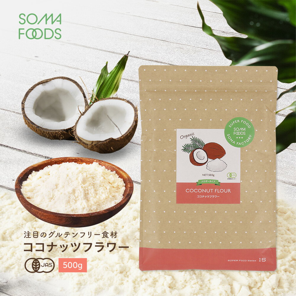 有機JAS認定 オーガニック ココナッツフラワー大容量 500g スリランカ産 無添加 無漂白 粉末 お徳用 低GI ココナツ 椰子の実 送料無料