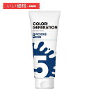 COLORR GENERATION(カラージェネレーション) COLORR GENERATION VICIOUS BLUE（ビシャス ブルー） カラートリートメント 150g