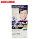 サロンドプロ 無香料ヘアカラーメンズスピーディ 7 自然な黒色 40g+40g【医薬部外品】