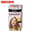 ブローネ ルミエスト ヘアカラー 0B シフォンブラウン【医薬部外品】白髪を気にせず 明るい髪色 楽しめる クリームタイプ 白髪染め108g