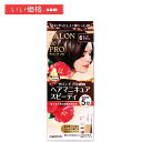 サロンドプロ 白髪染め ヘアマニキュア スピーディ 6 ダークブラウン