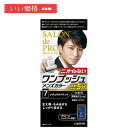 サロンドプロ 白髪染め ワンプッシュ メンズカラー 7 ナチュラルブラック【医薬部外品】