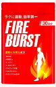 FIRE BURST L-カルニ...