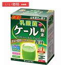 山本漢方製薬 乳酸菌ケール粉末 4g×30包【賞味期限:2026.04】(4)