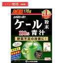 山本漢方製薬 山本漢方 ケール粉末100 青汁 170g【賞味期限：2026.11】