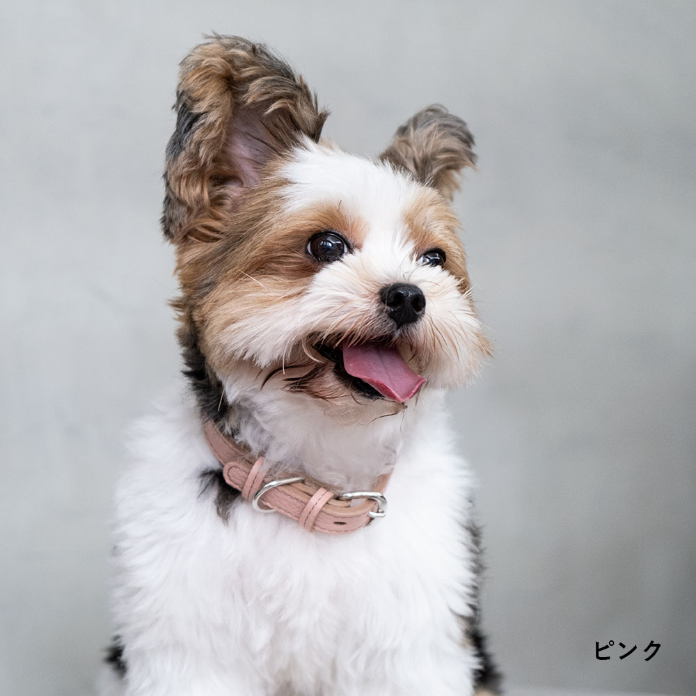 【安心の日本製/全16色】送料無料 本革 犬 首輪 おしゃれ 犬用 首輪 革 犬 首輪 か...
