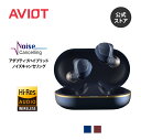 AVIOT TE-W1 アダプティブハイブリッドノイズキャンセリング ワイヤレスイヤホン コアキシャル3Dシステム ハイレゾ対応 イヤホン デュアルダイナミックドライバー 金属製ノズル採用 マルチポイント対応 最大50時間再生 IPX4防水 医療用シリコンを採用
