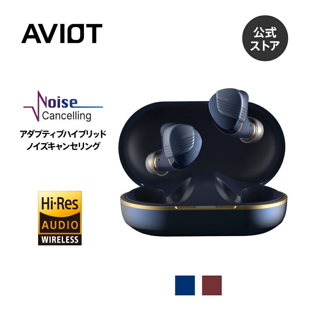 AVIOT TE-W1 アダプティブハイブリッドノイズキャンセリング ワイヤレスイヤホン コアキシャル3Dシステム ハイレゾ対応 イヤホン デュアルダイナミックドライバー 金属製ノズル採用 マルチポイ…