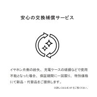 AVIOTアビオット日本のオーディオメーカーTE-D01bBluetoothイヤホン完全ワイヤレスイヤホン自動ペアリング高音質防水長時間再生ノイズキャンセリングiphoneandroidbluetooth5.0