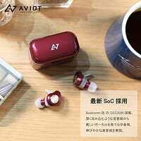 AVIOTアビオット日本のオーディオメーカーTE-D01dBluetoothイヤホン完全ワイヤレスイヤホン自動ペアリング高音質防水長時間再生ノイズキャンセリングiphoneandroidbluetooth5.0