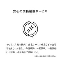 AVIOTアビオット日本のオーディオメーカーTE-D01dBluetoothイヤホン完全ワイヤレスイヤホン自動ペアリング高音質防水長時間再生ノイズキャンセリングiphoneandroidbluetooth5.0