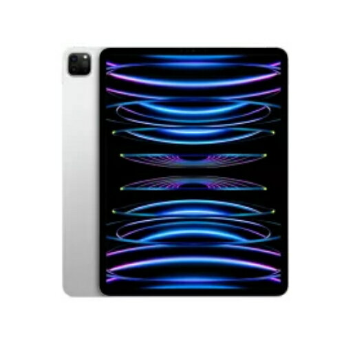iPad Pro 【新品未開封】APPLE iPad Pro第4世代 256GB 11インチ Wi-Fi MNXG3J/A シルバー【送料無料】【即日発送、土、祝日発送 】