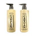 各1個セット デミ キャラバン スカルプシャンプー 490mL 1個 医薬部外品 + ヘア&スカルプトリートメント 485g 1個 CARAVAN メンズ DE...
