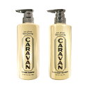 各1個セット デミ キャラバン リフレッシュシャンプー 490mL 1個 メントール + ヘア&スカルプトリートメント 485g 1個 CARAVAN メンズ ...