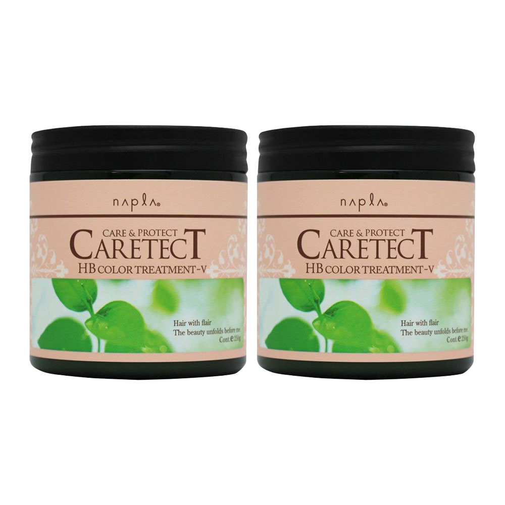 2個セット ナプラ napla ケアテクトHB カラートリートメントV ハリ・コシ タイプ 250g ノンシリコン ヘアケア CARETECT Vタイプ 国内正規品