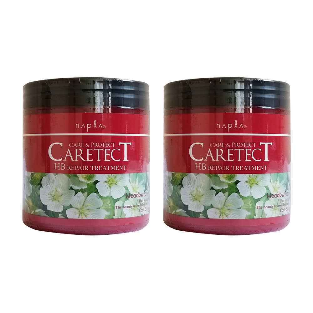 2個セット ナプラ napla ケアテクトHB リペアトリートメント ダメージケア 250g ノンシリコン ヘアケア CARETECT 国内正規品