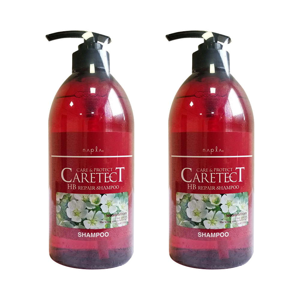 2個セット ケアテクトHBリペアシャンプー 750ml napla ナプラ ヘアケア 国内正規品