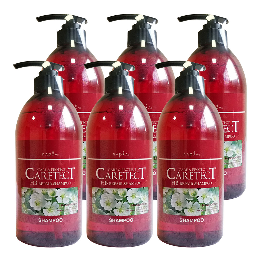 6個セット ケアテクトHBリペアシャンプー 750ml napla ナプラ ヘアケア 国内正規品