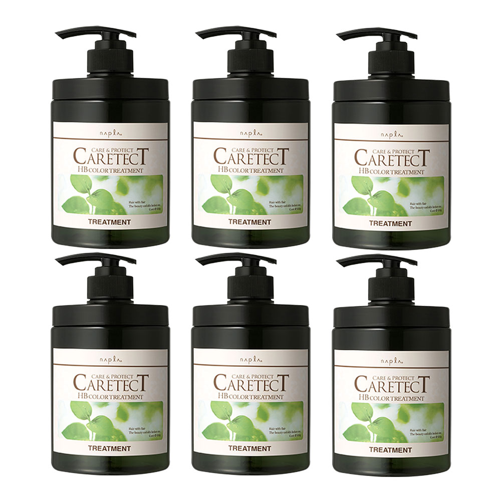 6個セット ナプラ napla ケアテクトHB カラートリートメントV ハリ・コシ タイプ 650g ノンシリコン ヘアケア CARETECT Vタイプ 国内正規品