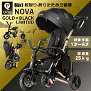 Q PLAY NOVA GOLD 限定モデル 三輪車 折りたたみ かじとり ペダルフリー ハンドルフリー サンシェード 折り畳み 手押し車 手押し棒 折り畳み三輪車 舵取り手押し棒付き三輪車 6in1 ベビーカー ベビー[Q Play NOVA GOLD×BLACK]【あす楽】