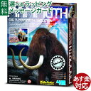 楽天木のおもちゃ コモック知育玩具 4M 発掘&組立 マンモス クラフト・科学玩具 お誕生日 8歳 STEAM STEM おうち時間 小学生 工作 キット 自由研究 地球 夏休み