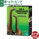 楽天木のおもちゃ コモック知育玩具 4M 発掘＆組立シリーズ ブラキオサウルス クラフト お誕生日 8歳：男 女 STEAM STEM おうち時間 小学生 工作 キット 自由研究 地球 夏休み