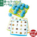 知育玩具 BorneLund(ボーネルンド)ナターン社 ファンラーニング マッチング・ペアーズ 3歳 お誕生日 入園 入学 神経衰弱 アナログゲーム おうち時間 子供