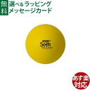 知育玩具 BorneLund（ボーネルンド ）.ボリー（Volley）社 しわくちゃボール 150mm（黄） おうち時間 子供