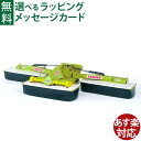 Bruder ブルーダー 正規輸入品 ドイツ Claas 02218 1/16 クラース トリプルディスクモーアパーツ ミニカー はたらくくるま ごっこ遊び おうち時間 外遊び 子供 アクセサリー
