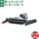 Bruder ブルーダー 正規輸入品 ドイツ Prinoth(プリノート) スノーグルーマー Leitwolf(ライトウルフ) 圧雪車 02545 1/16 除雪車 ミニカー ごっこ遊び おうち時間 外遊び 子供
