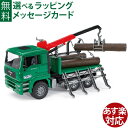Bruder ブルーダー 正規輸入品 ドイツ MAN ティンバートラック 02769 1/16 エムアーエヌ ミニカー ごっこ遊び おうち時間 外遊び 子供