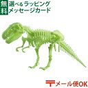 メール便OK 恐竜 おもちゃ EDU-SCIENCE社 クラフト グロー恐竜骨格 ティラノサウルス おうち時間 子供 入学 入園