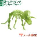 メール便OK 恐竜 おもちゃ EDU-SCIENCE社 クラフト グロー恐竜骨格 トリケラトプス おうち時間 子供
